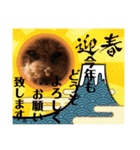 徳島（デカ文字）お正月だョトイプークム3（個別スタンプ：2）