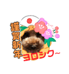 徳島（デカ文字）お正月だョトイプークム3（個別スタンプ：6）