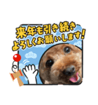 徳島（デカ文字）お正月だョトイプークム3（個別スタンプ：11）