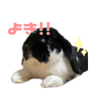 たれ耳うさぎ♡うにちゃん3（個別スタンプ：6）