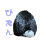 たれ耳うさぎ♡うにちゃん3（個別スタンプ：8）