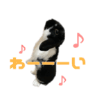 たれ耳うさぎ♡うにちゃん3（個別スタンプ：9）