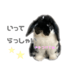 たれ耳うさぎ♡うにちゃん3（個別スタンプ：13）