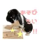 たれ耳うさぎ♡うにちゃん3（個別スタンプ：34）
