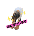ちゃんゆ。（個別スタンプ：9）