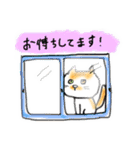 茶トラ猫ポンの敬語スタンプ（個別スタンプ：13）