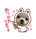そら専用スタンプ⭐︎（個別スタンプ：8）