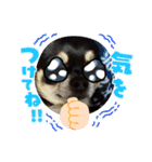 ふんふんのスタンプ Part6♡（個別スタンプ：2）
