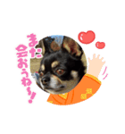 ふんふんのスタンプ Part6♡（個別スタンプ：4）