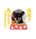 ふんふんのスタンプ Part6♡（個別スタンプ：10）