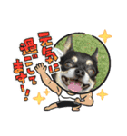 ふんふんのスタンプ Part6♡（個別スタンプ：11）