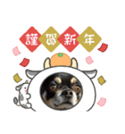 ふんふんのスタンプ Part6♡（個別スタンプ：13）