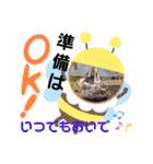 akis スタンプ（個別スタンプ：19）