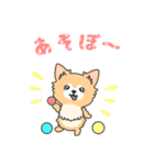 毎日ココさん（個別スタンプ：1）