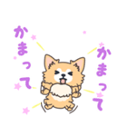 毎日ココさん（個別スタンプ：4）