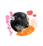 バルボン！お正月（個別スタンプ：3）