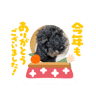 バルボン！お正月（個別スタンプ：4）
