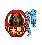 晩寅(お正月ver)（個別スタンプ：1）