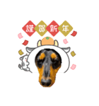 晩寅(お正月ver)（個別スタンプ：3）