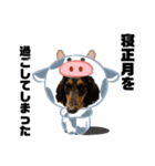 晩寅(お正月ver)（個別スタンプ：7）