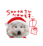 寒い時期用、MIX犬＆TPスタンプ！（個別スタンプ：3）