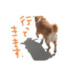 寒い時期用、MIX犬＆TPスタンプ！（個別スタンプ：29）