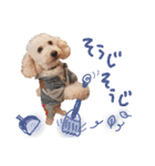 寒い時期用、MIX犬＆TPスタンプ！（個別スタンプ：31）