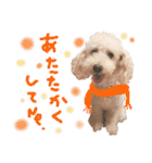 寒い時期用、MIX犬＆TPスタンプ！（個別スタンプ：32）