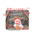 寒い時期用、MIX犬＆TPスタンプ！（個別スタンプ：33）