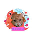 さむさむず（個別スタンプ：1）