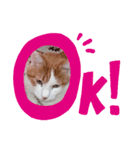 さむさむず（個別スタンプ：6）