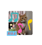 さむさむず（個別スタンプ：7）