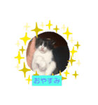 さむさむず（個別スタンプ：8）
