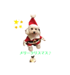 chiroru ver3（個別スタンプ：8）