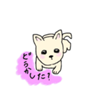 豆柴の子犬くうちゃん（個別スタンプ：1）