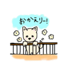 豆柴の子犬くうちゃん（個別スタンプ：4）