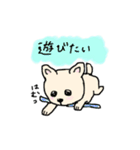 豆柴の子犬くうちゃん（個別スタンプ：5）