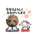 すーさん家のわんこたち3（個別スタンプ：2）