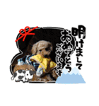 すーさん家のわんこたち3（個別スタンプ：3）