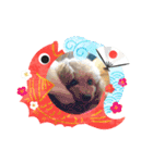 すーさん家のわんこたち3（個別スタンプ：4）