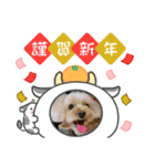 すーさん家のわんこたち3（個別スタンプ：7）