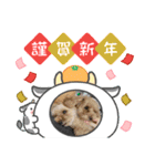すーさん家のわんこたち3（個別スタンプ：15）