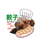 讃岐弁 コタローくん（個別スタンプ：19）