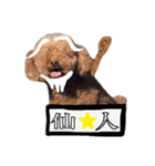 讃岐弁 コタローくん（個別スタンプ：20）