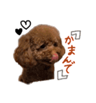 讃岐弁 コタローくん（個別スタンプ：28）