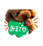 讃岐弁 コタローくん（個別スタンプ：29）