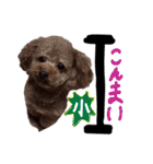 讃岐弁 コタローくん（個別スタンプ：37）