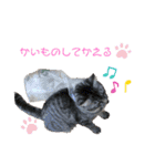 マーレฅ(^^ฅ)（個別スタンプ：1）