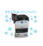 マーレฅ(^^ฅ)（個別スタンプ：9）