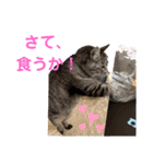 マーレฅ(^^ฅ)（個別スタンプ：11）